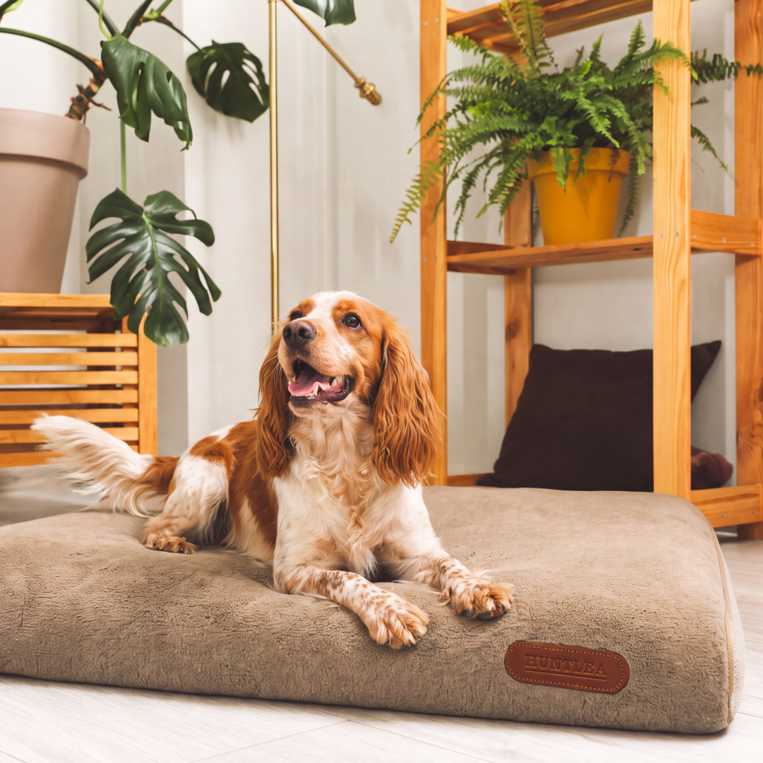 Huntlea Comfort Pad Dog Bed