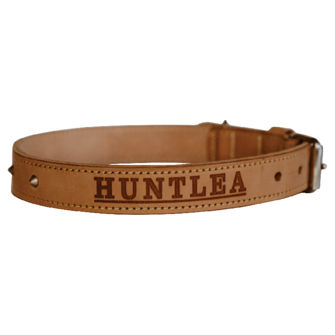 Impala Heavy Studded Dog Leather Collar