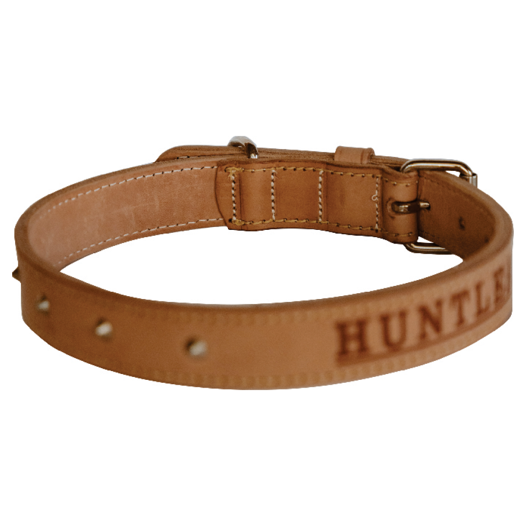 Impala Heavy Studded Dog Leather Collar