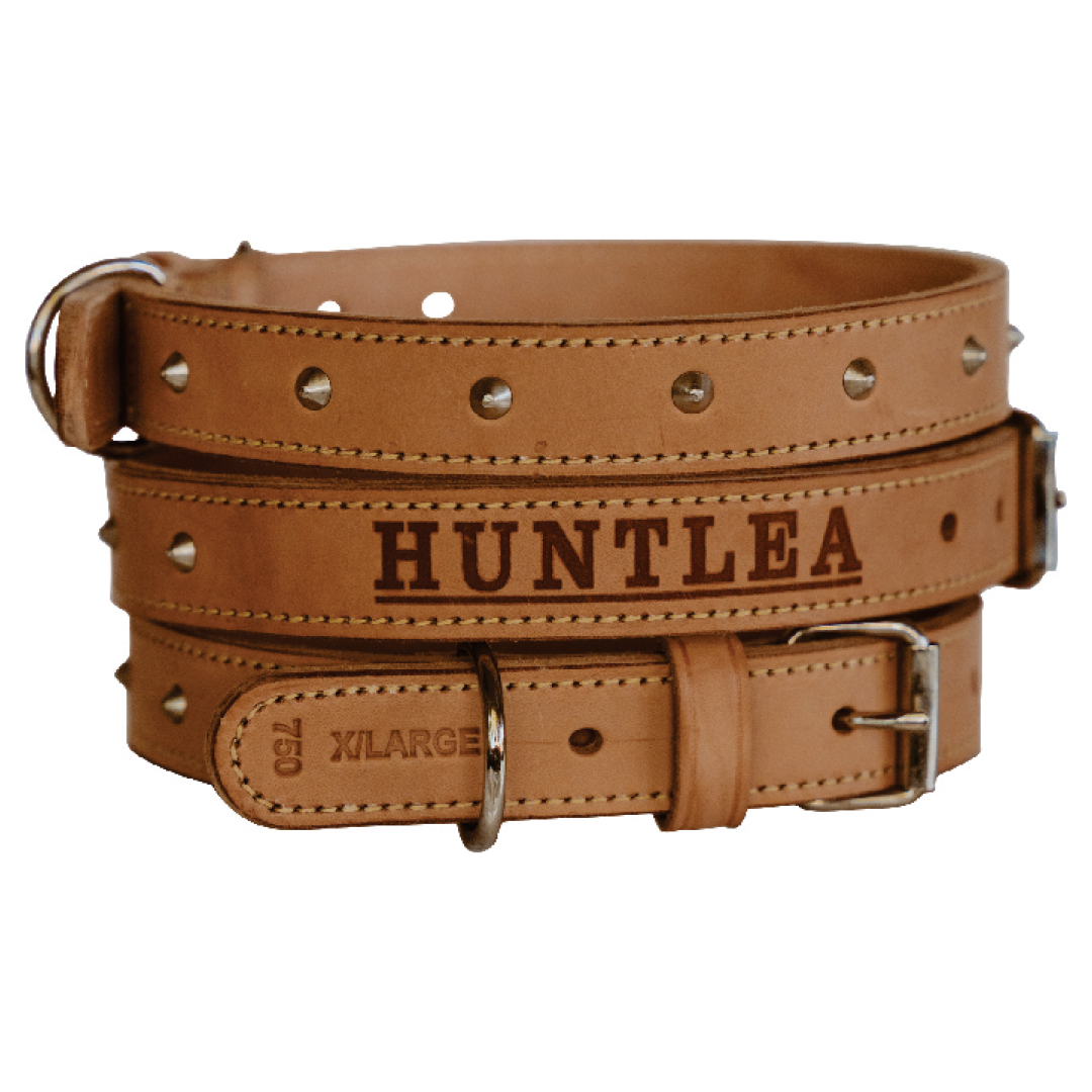 Impala Heavy Studded Dog Leather Collar