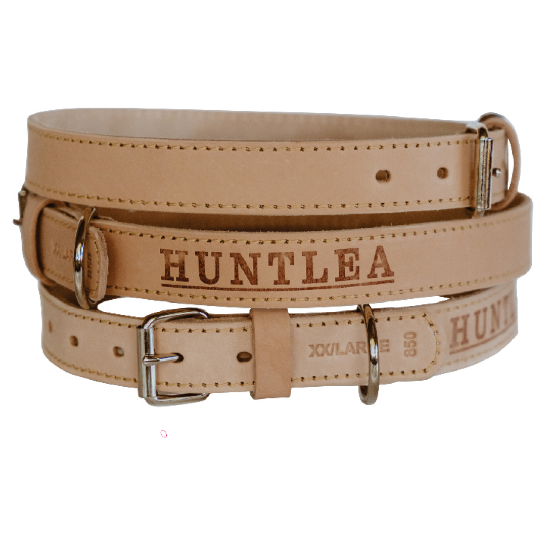 Impala Heavy Plain Dog Leather Collar HUNTLEA