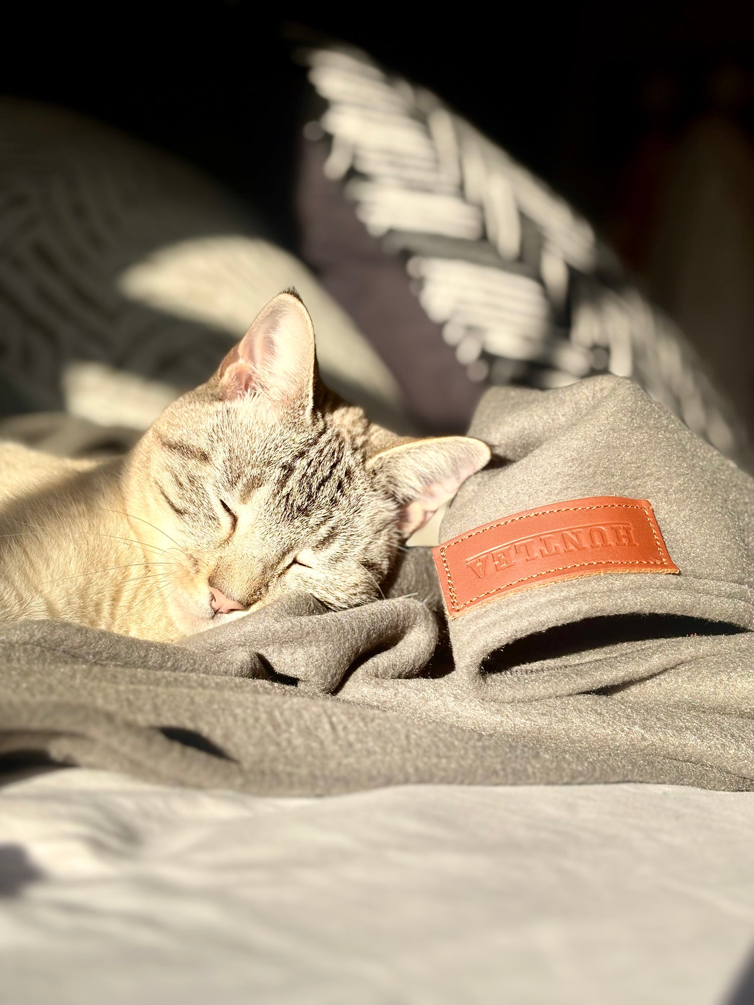 Cat Blankets