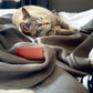 Huntlea Polar Fleece Cat Blanket