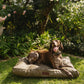 Huntlea Kalahari Orthopaedic Dog Bed