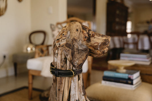 Lion Dog Leather Collar