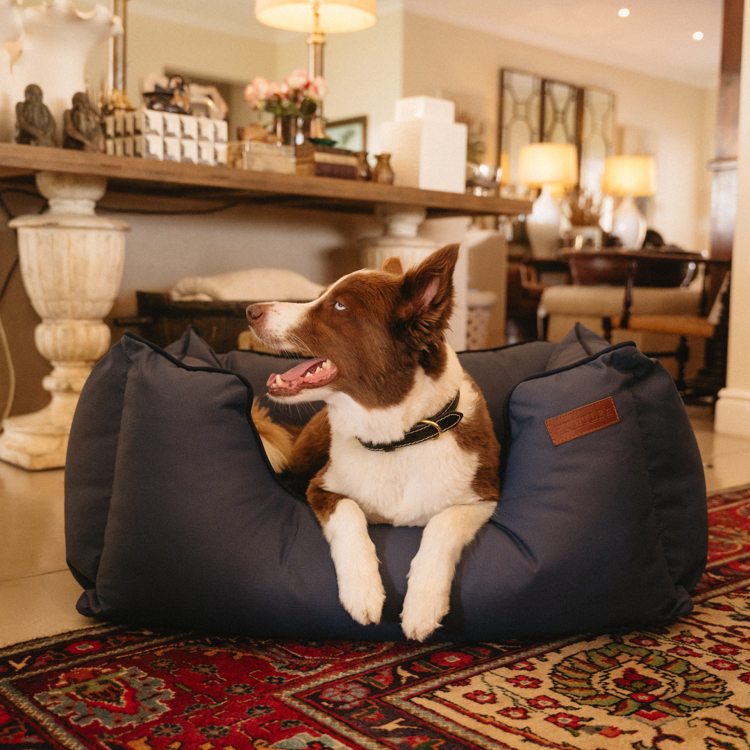 Kalahari King Dog Bed