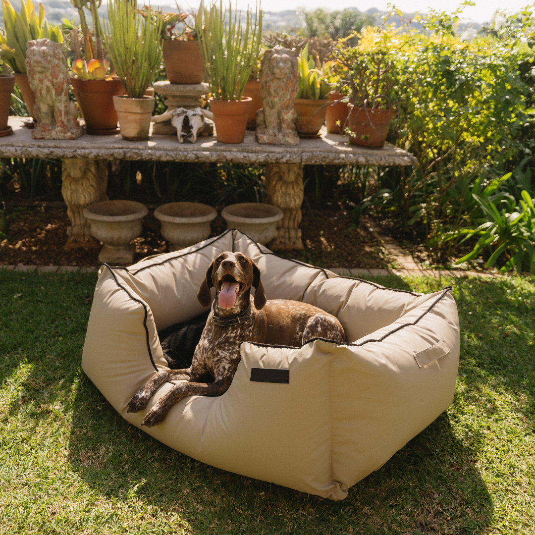 Kalahari King Dog Bed