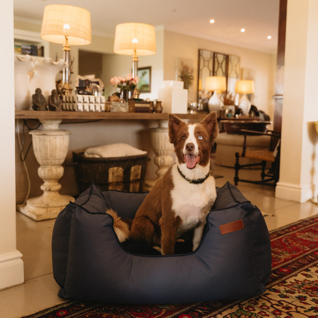 Kalahari King Dog Bed