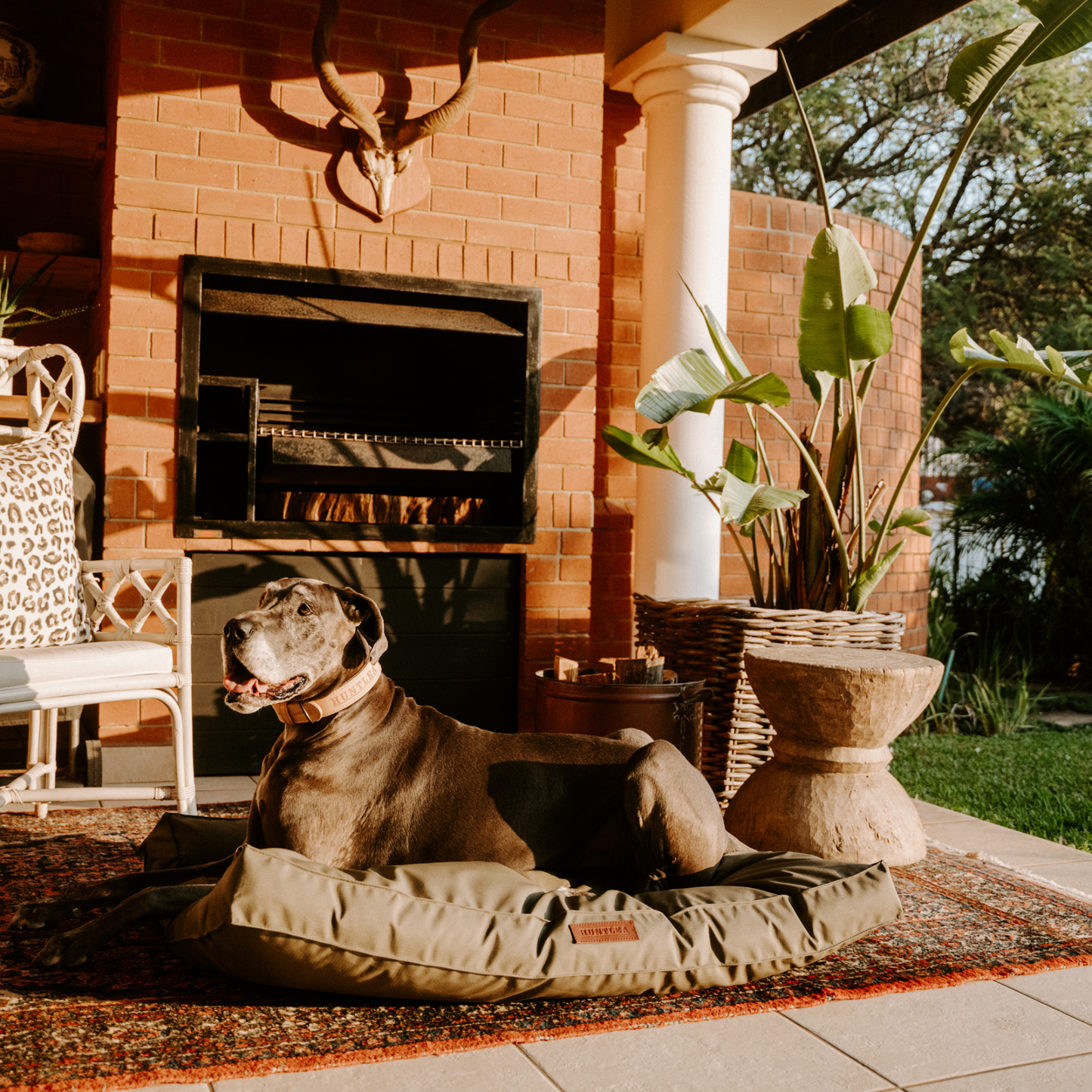 Huntlea Kalahari Orthopaedic Dog Bed