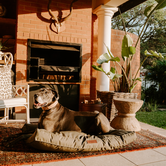 Huntlea Kalahari Orthopaedic Dog Bed