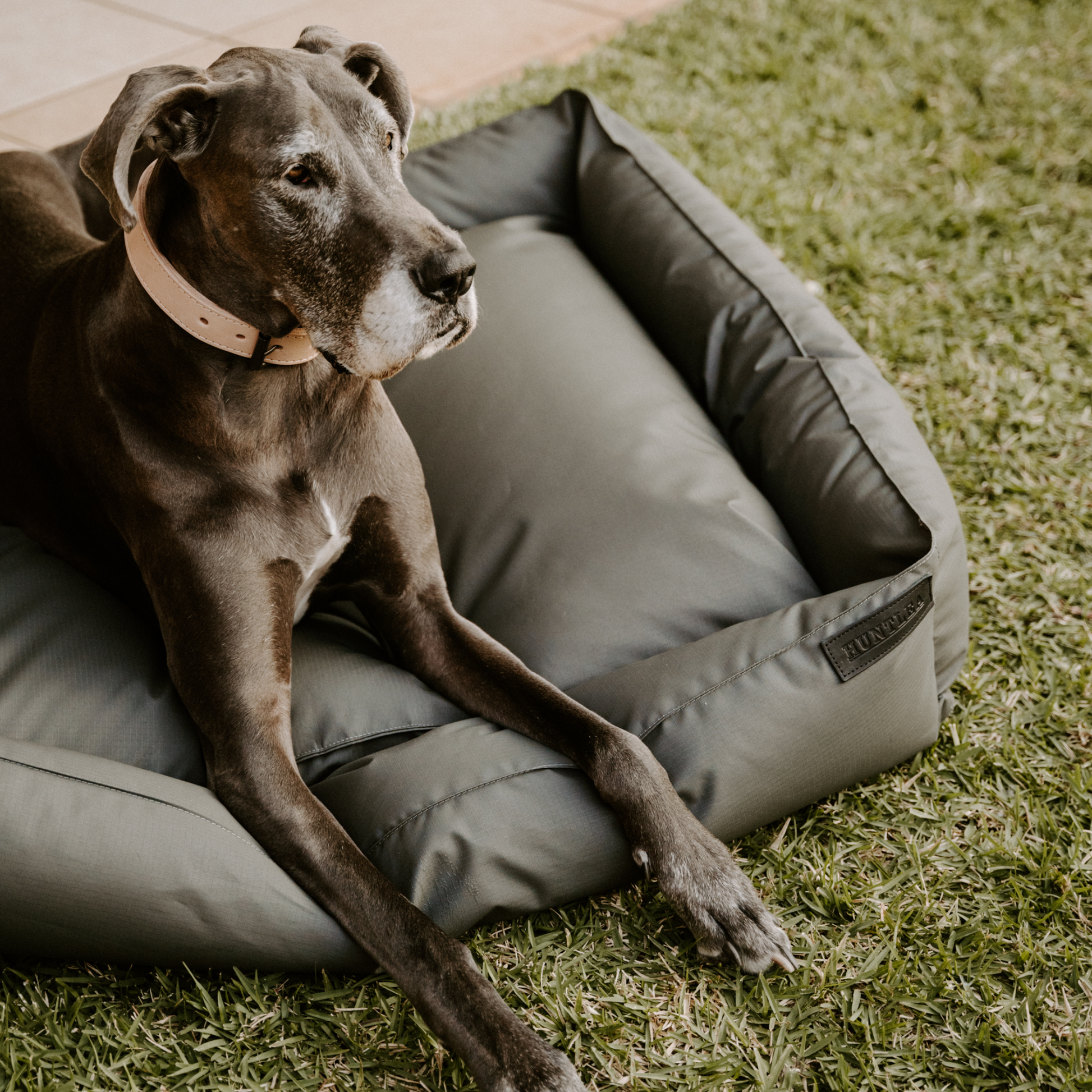 Huntlea Kalahari Slumber Dog Bed HUNTLEA