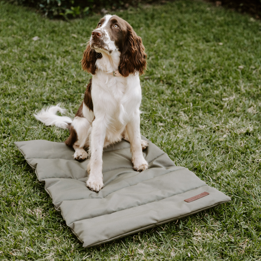 Huntlea Kalahari Travel Dog Mat