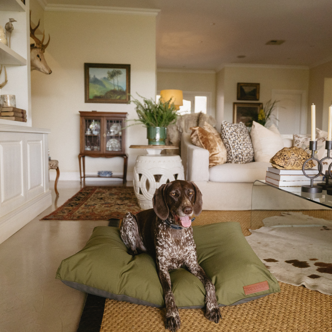 Koletto Matlow Dog Bed