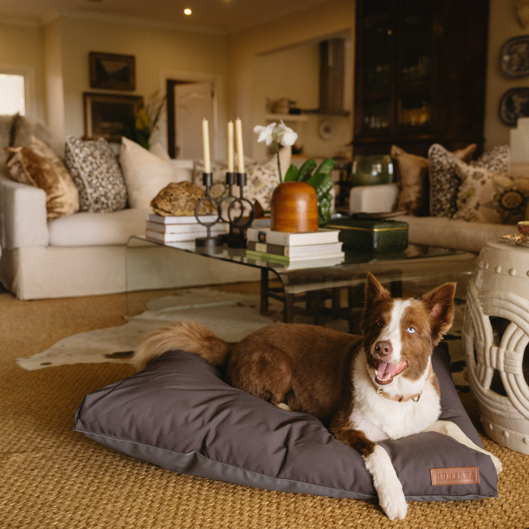 Koletto Matlow Dog Bed
