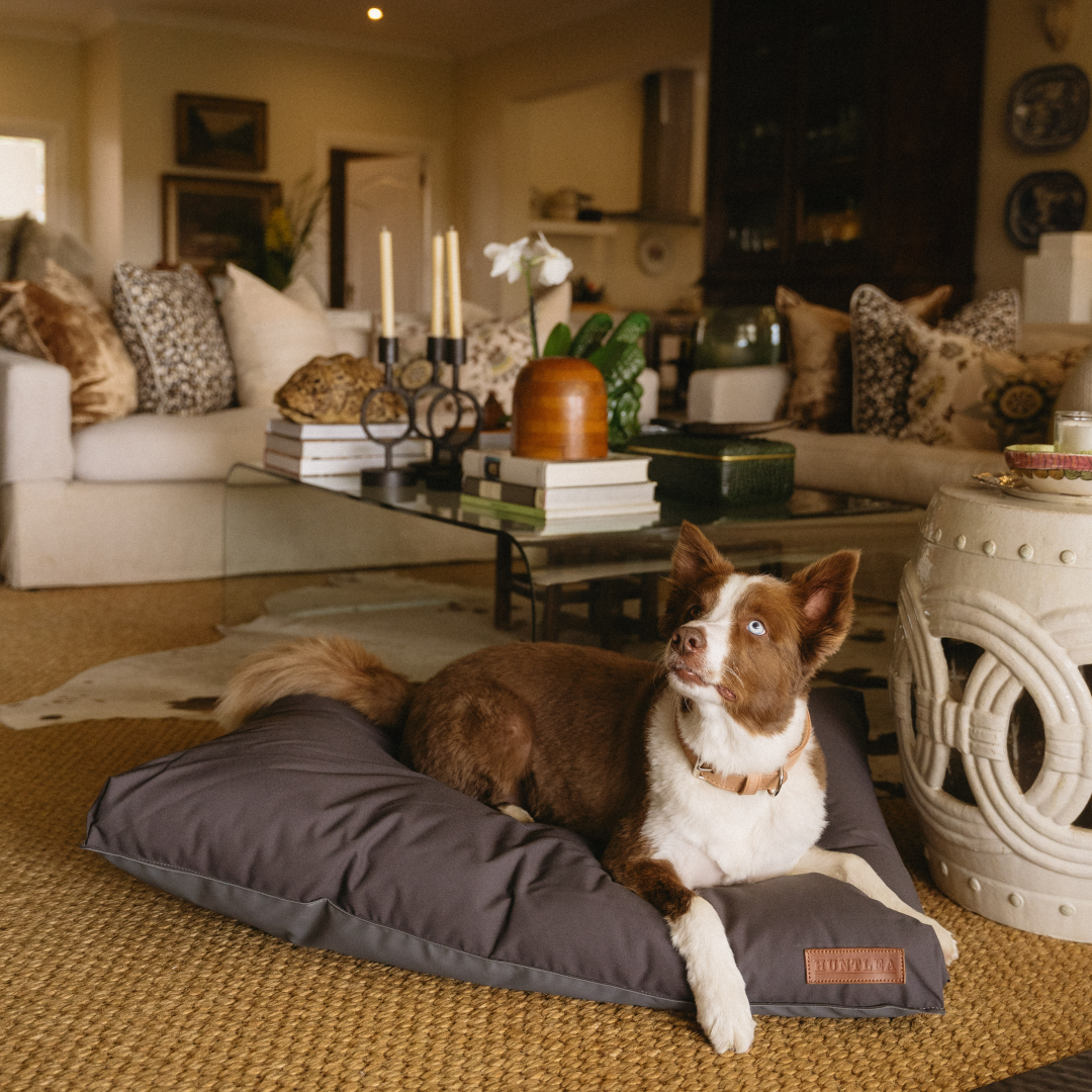Koletto Matlow Dog Bed