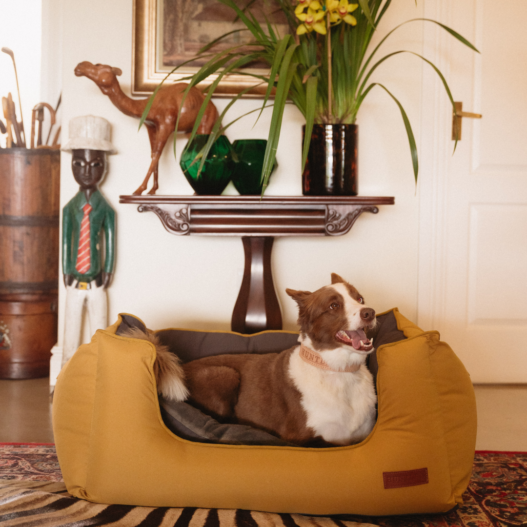 Koletto Queen Dog Bed