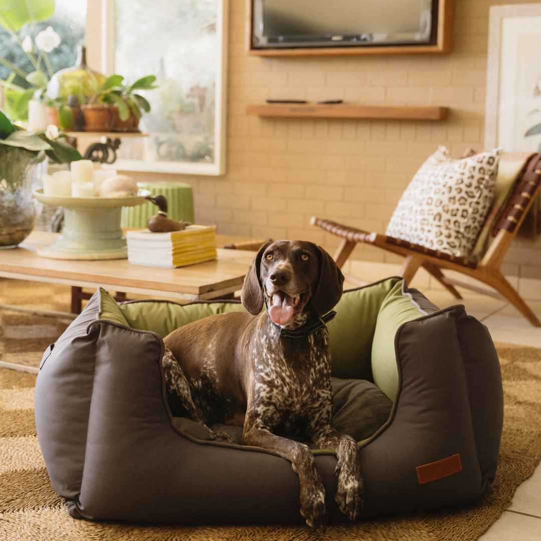 Koletto Queen Dog Bed