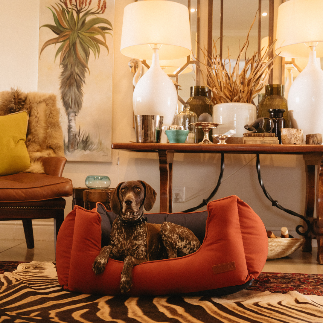 Koletto Queen Dog Bed