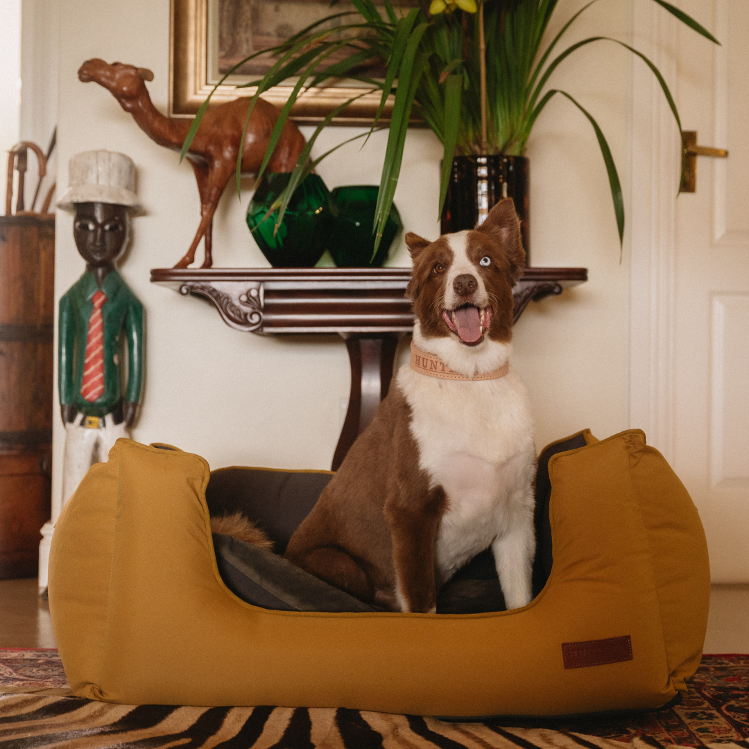 Koletto Queen Dog Bed