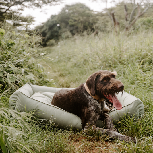 Koletto Bolster Style Dog Bed