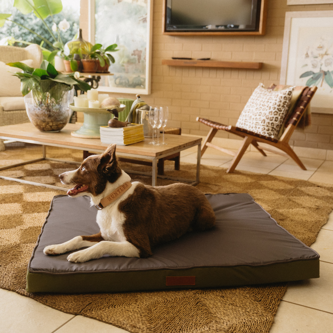 Koletto Memory Foam Slab Bed