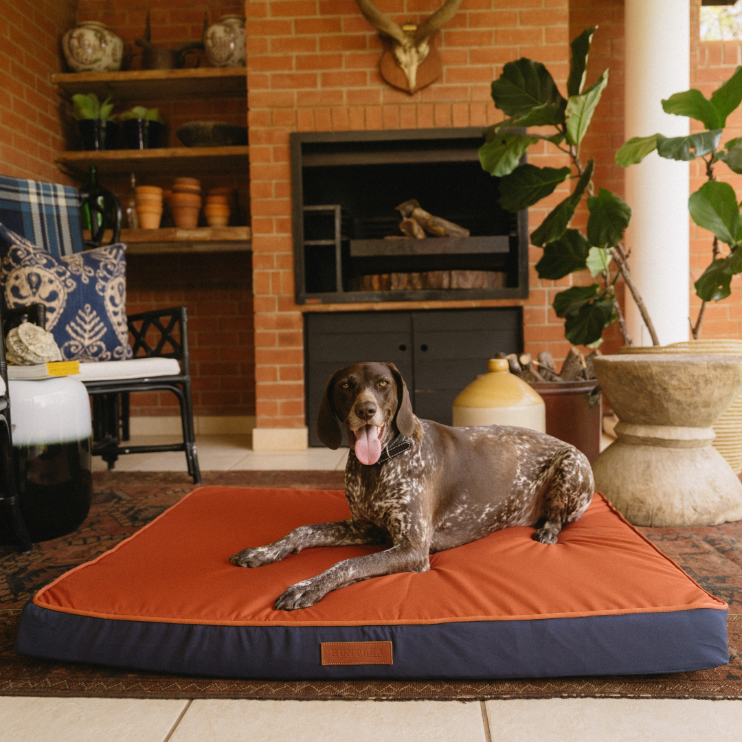Koletto Memory Foam Slab Bed