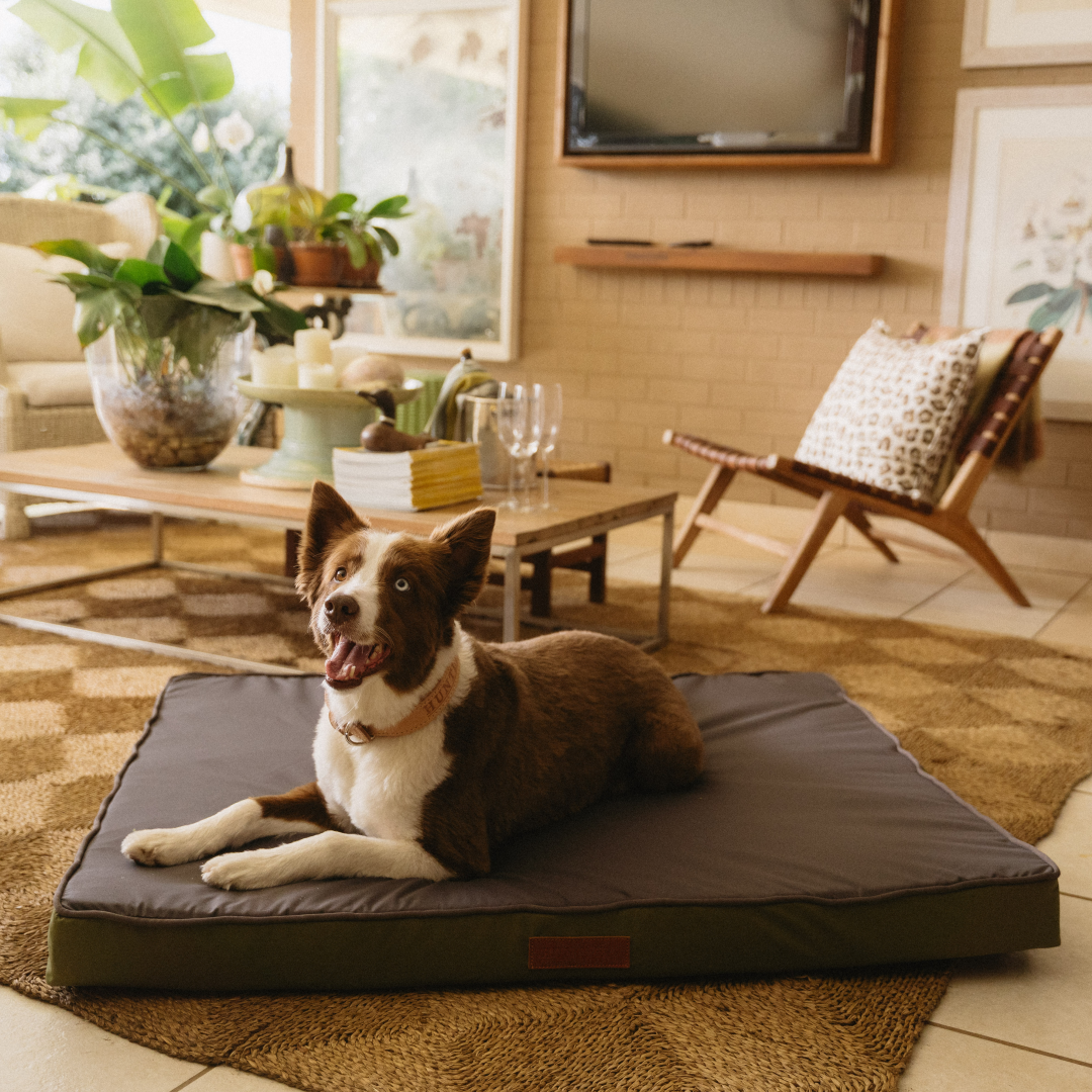 Koletto Memory Foam Slab Bed