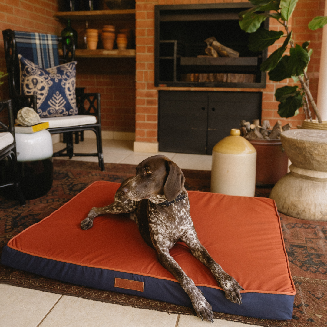 Koletto Memory Foam Slab Bed