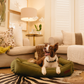 Koletto Bolster Plain Dog Bed