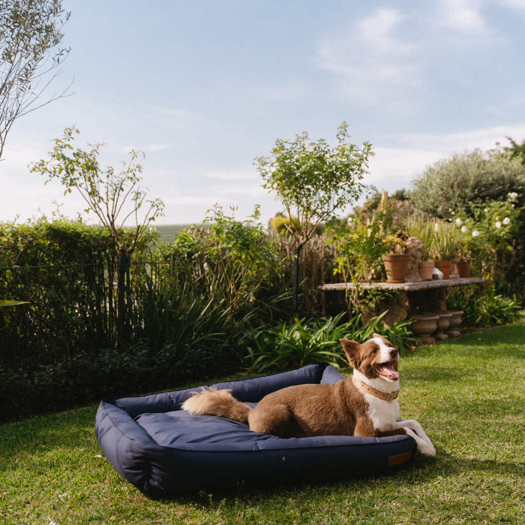 Koletto Bolster Plain Dog Bed