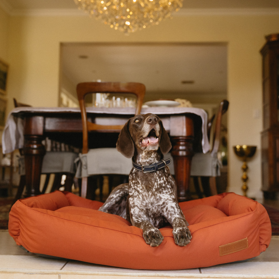 Koletto Bolster Plain Dog Bed
