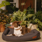 Koletto Bolster Plain Dog Bed