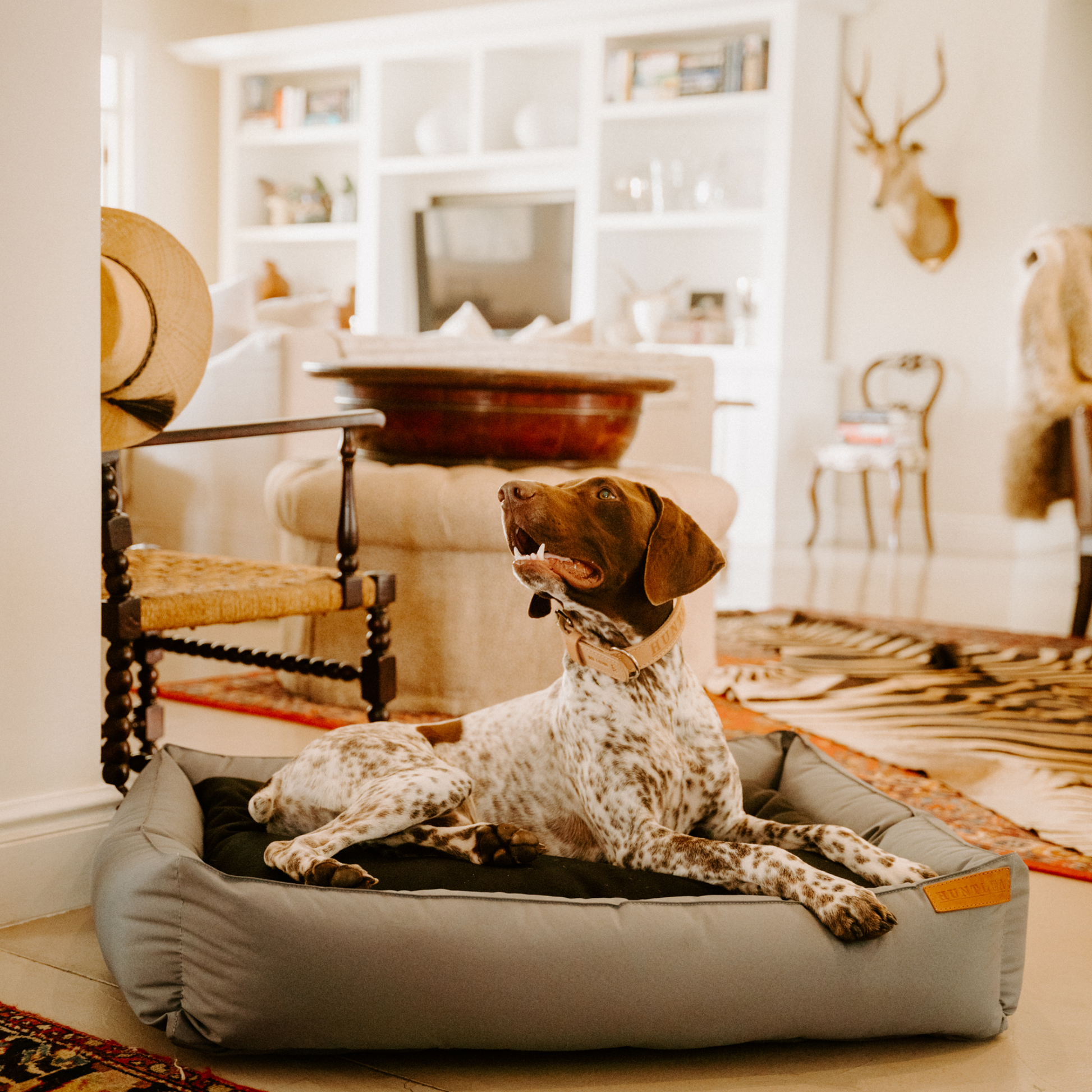Huntlea Koletto Winter Bolster Dog Bed – HUNTLEA