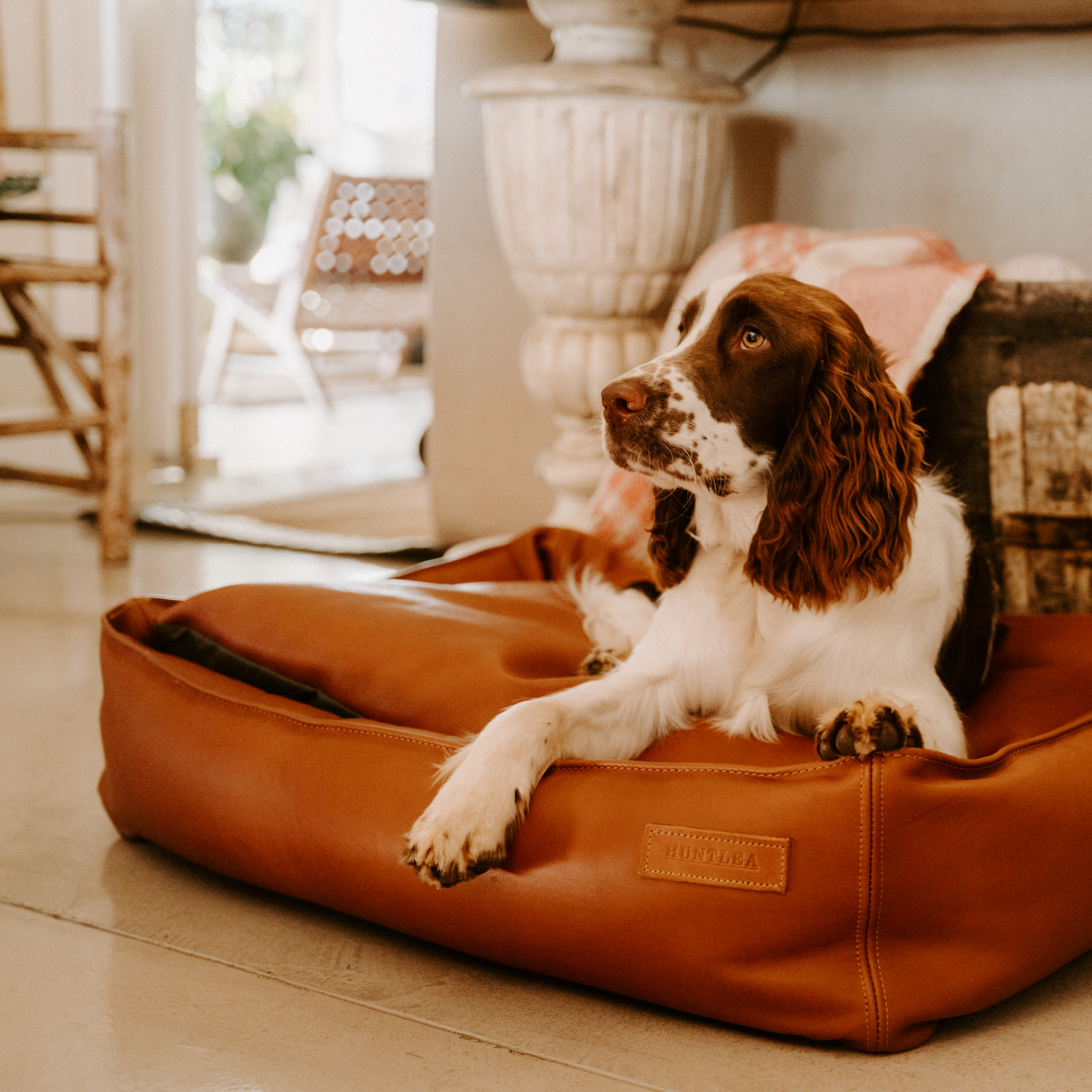 Genuine leather dog sales bed