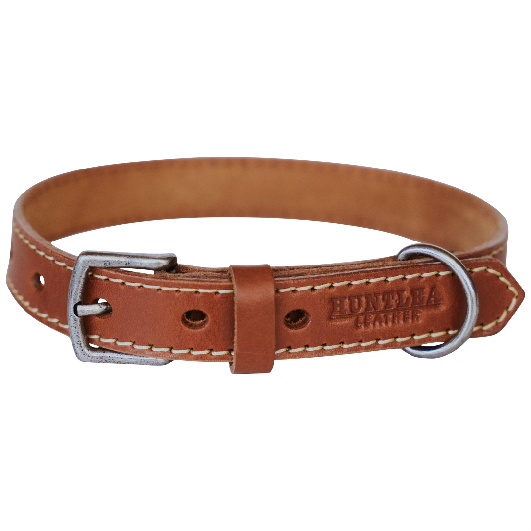 Leopard Dog Leather Collar