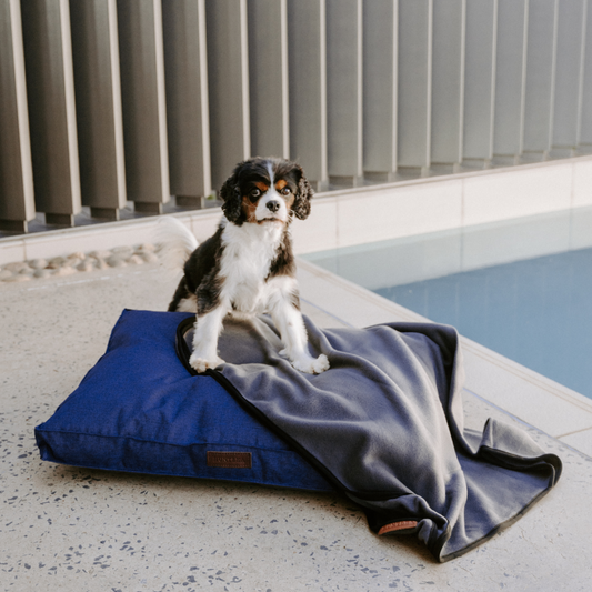 Huntlea Polar Fleece Dog Blanket