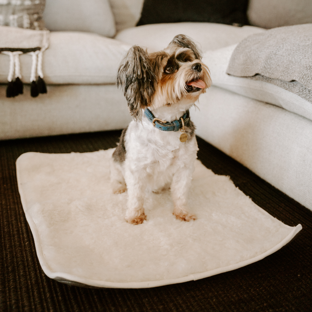 Huntlea Genuine Sheep Skin Dog Mat – HUNTLEA