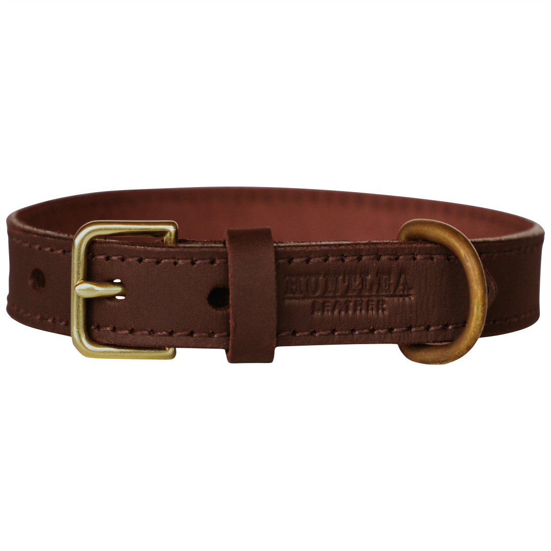 Lion Dog Leather Collar