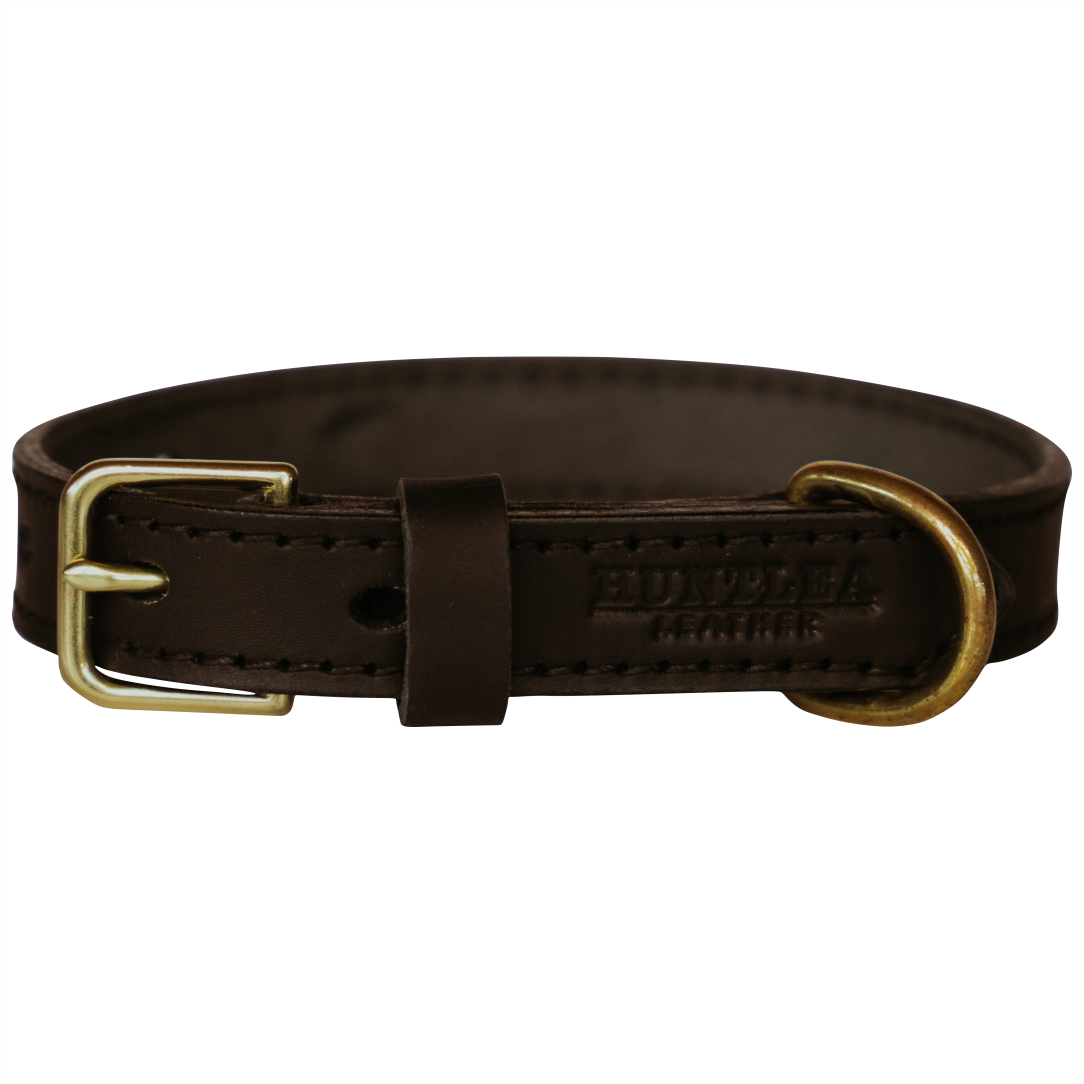 Lion Dog Leather Collar