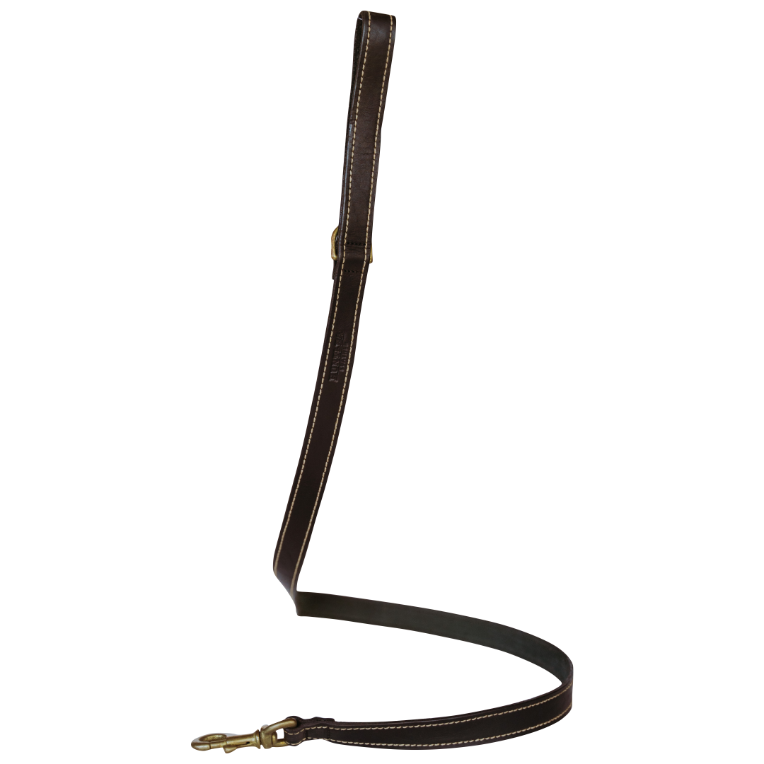 Lion Dog Leather Lead