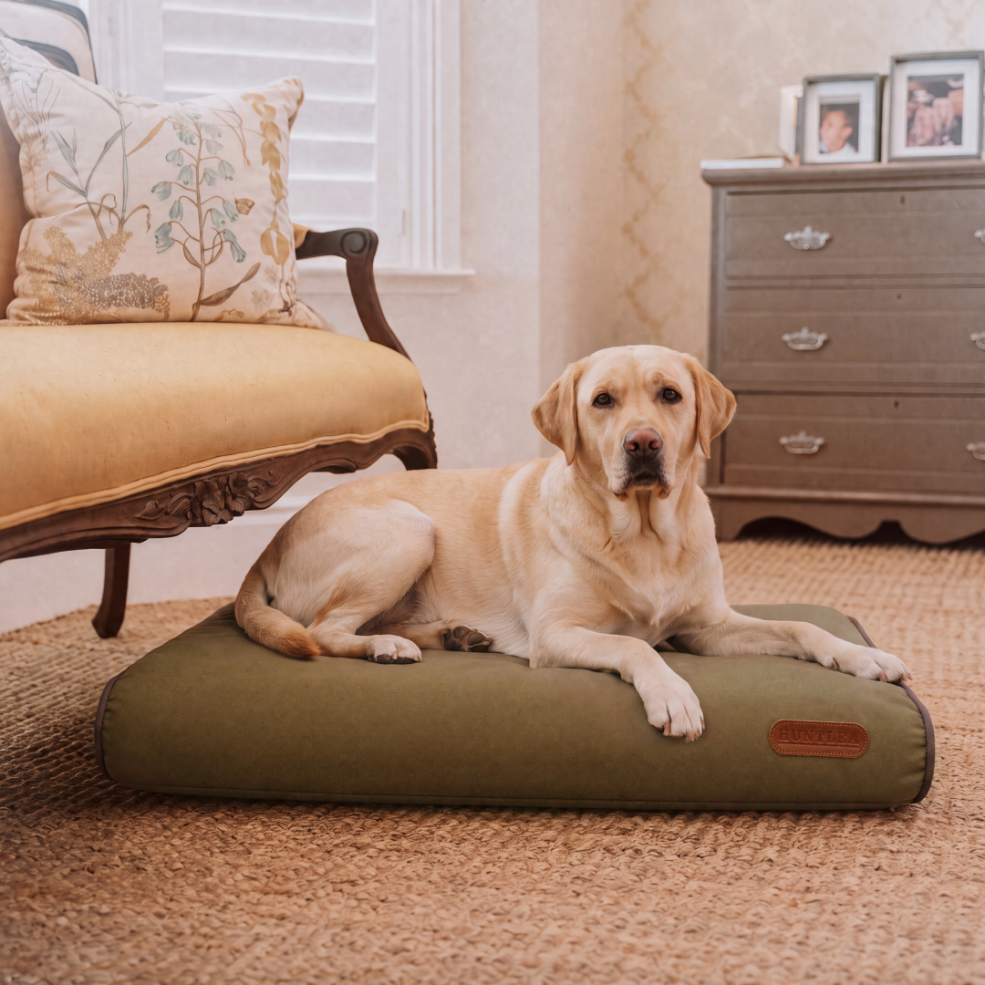 Huntlea Lounger Pad Dog Bed