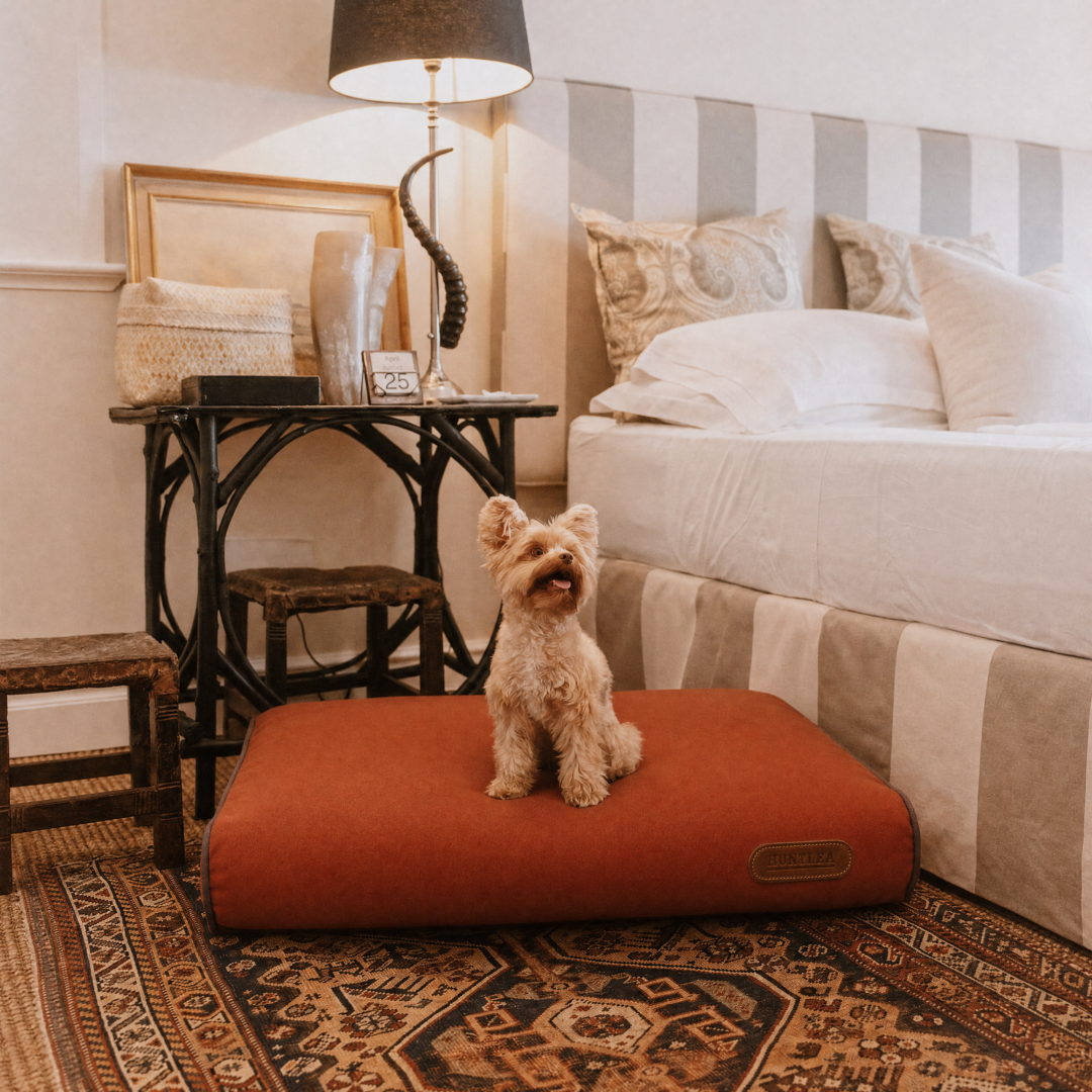 Huntlea Lounger Pad Dog Bed