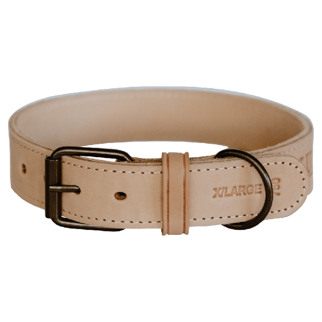 Impala Mighty Plain Dog Leather Collar HUNTLEA