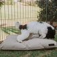 Huntlea Kalahari Napper Dog Bed