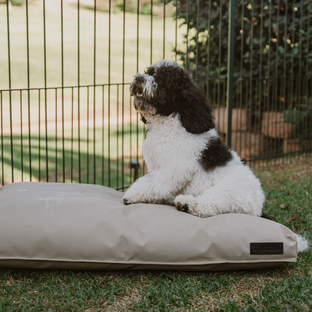 Huntlea Kalahari Napper Dog Bed