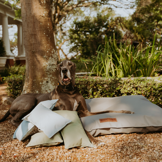 Original Pillow Dog Bed