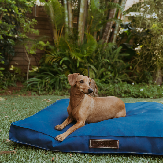 Original Mattress Dog Bed Cover