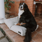 Huntlea Kalahari Orthopaedic Dog Bed