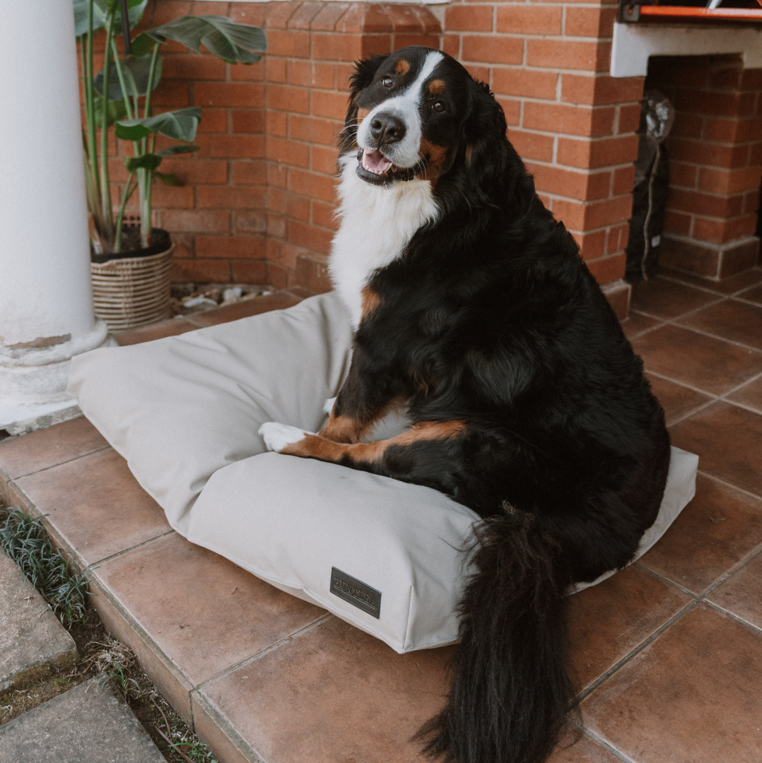 Orthopedic dog pillow hotsell