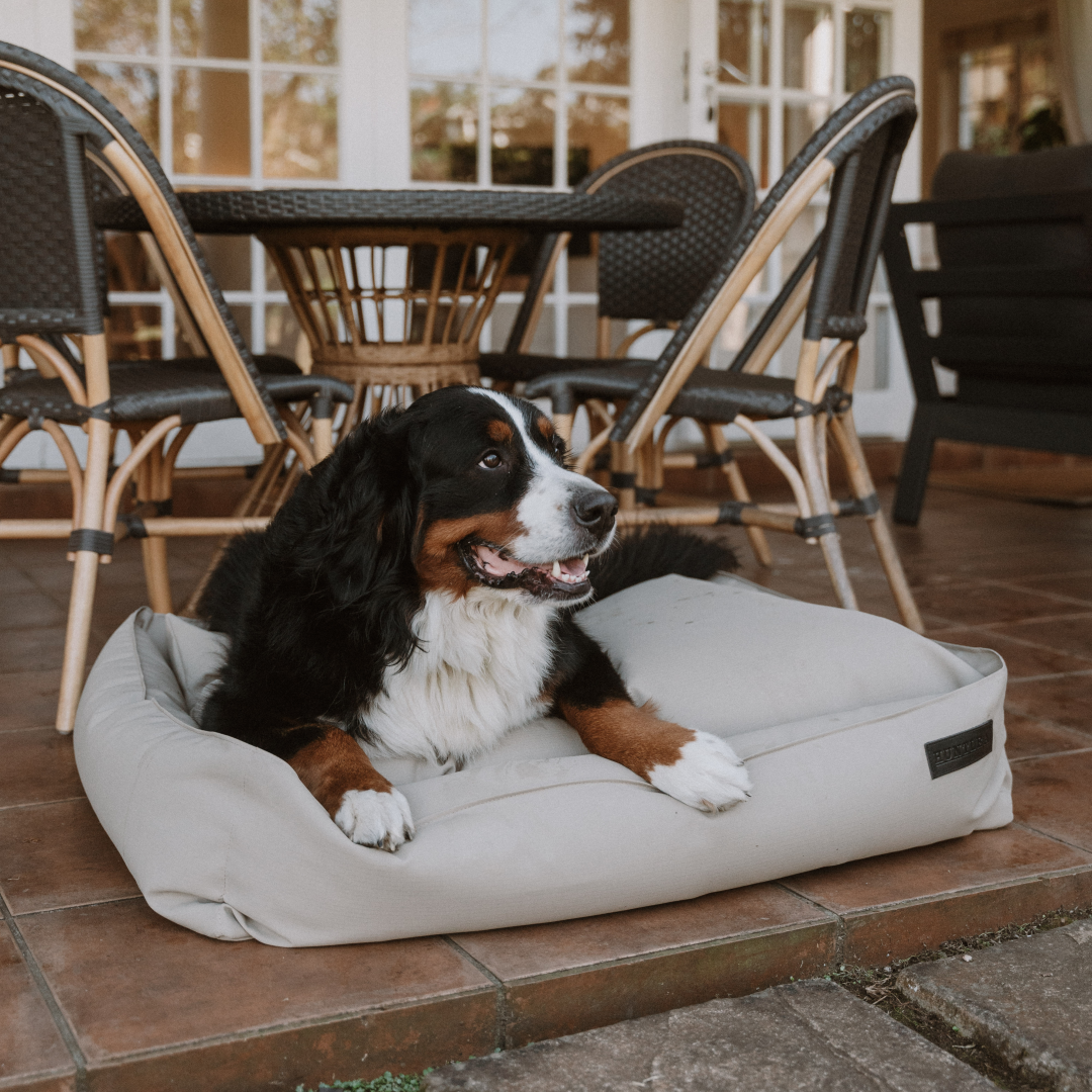 Huntlea Kalahari Slumber Dog Bed